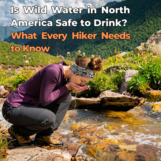 Is Wild Water in North America Safe to Drink? What Every Hiker Needs to Know | Nextria